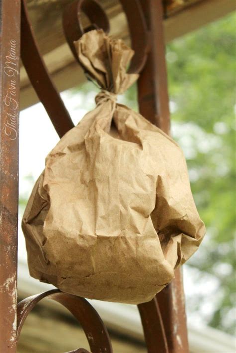 how to make a fake wasp nest paper bag|wasp deterrent paper bag.